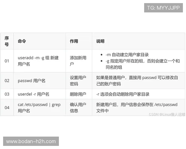 历史对战波胆怎么查避坑指南数字高频玩法防骗